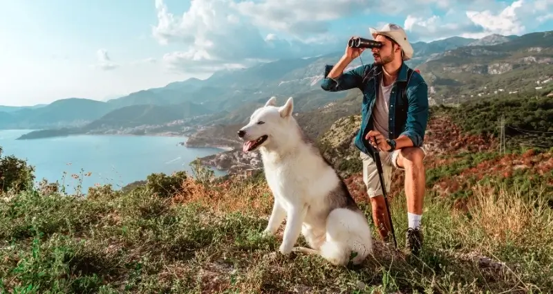 Senderismo con Perros: Una Experiencia Única en Contacto con la Naturaleza