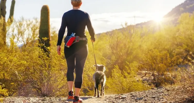 Caminatas con Perros: Disfruta con tu Fiel Compañero